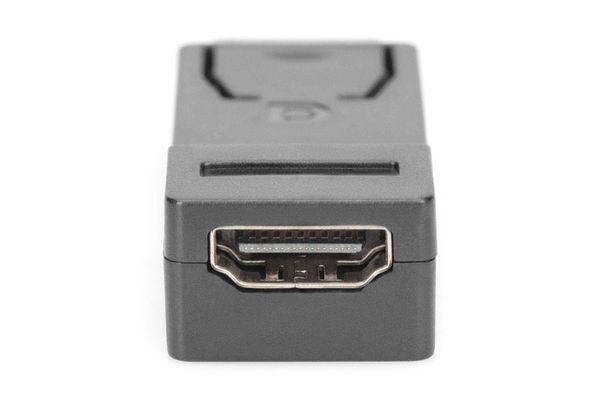 DIGITUS DisplayPort Adapter DPort -> HDMI St/Bu Polybeutel