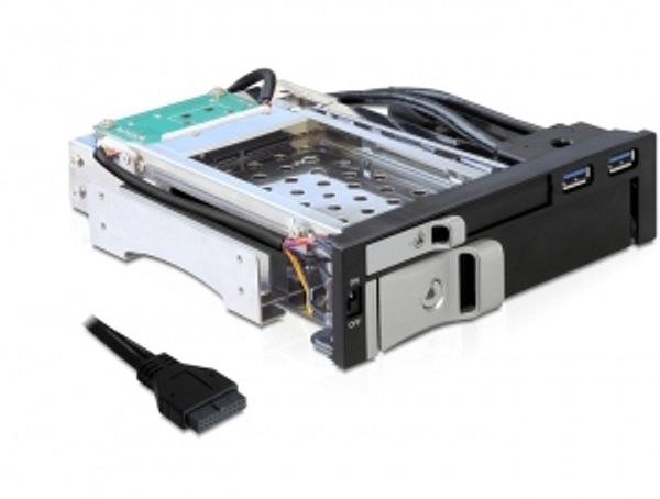 DELOCK Wechselrahmen 5,25" für 2,5"/3,5" SAS/SATA HDD